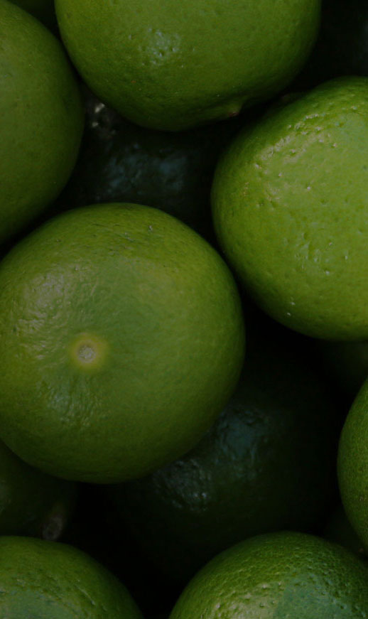 Tres Agaves Ingredients - Lime